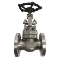 ANSI 150# SS316 ​Globe Valve