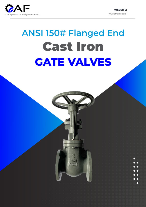 Spring Check Valves