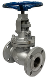 Globe valve