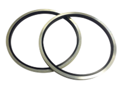 GS Hydro bonded seal