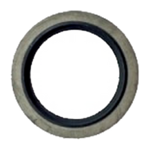 Dowty seal