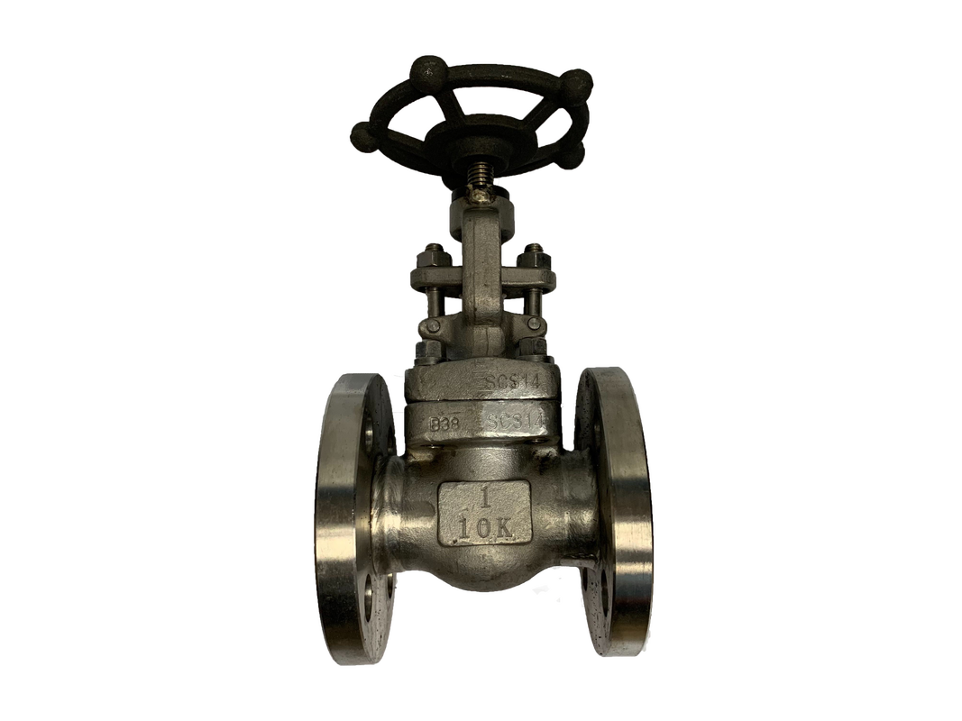 JIS 10K SS316 Globe Valve