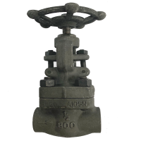 Threaded End Forged Steel ​Globe Valve