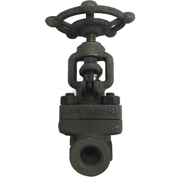 Threaded End Forged Steel Globe Valve